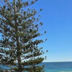 Meet your Posher, Sanaz